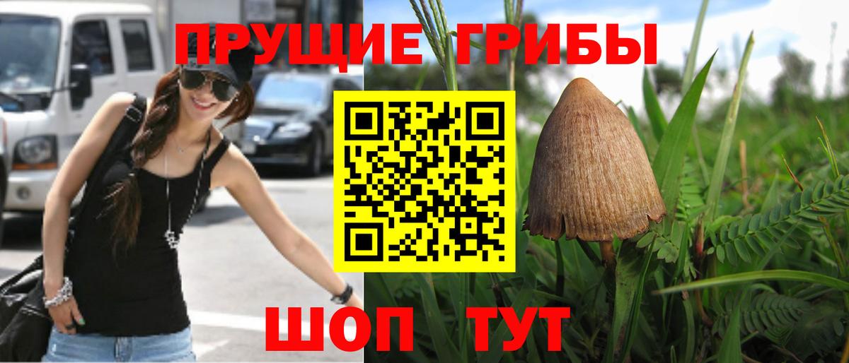 Псилоцибиновые грибы MAGIC MUSHROOMS  Вход с VPN  Елизово 