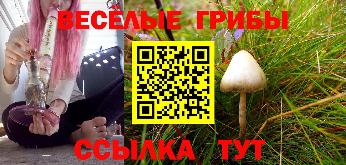 Псилоцибиновые грибы Magic Shrooms Елизово
